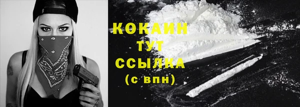 стафф Богданович