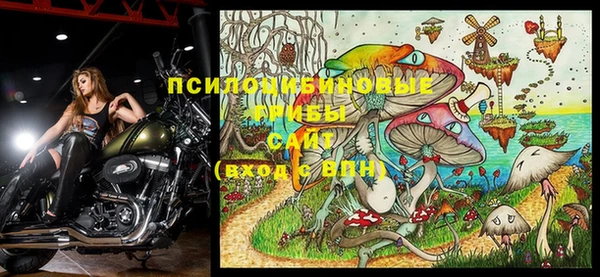 стафф Богданович
